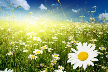 Llegan las fiestas de primavera m�s divertidas para ni�os 